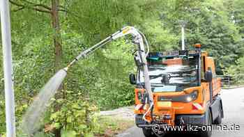 Iserlohn: So macht die Trockenheit Pflanzen zu schaffen - IKZ News