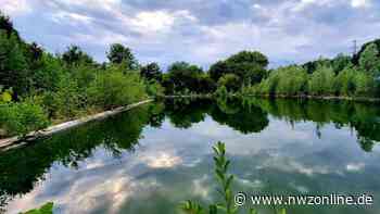 Kosten auf sechs Millionen Euro geschätzt: Erholungspark auf Freibadgelände in Brake geplant - NWZonline