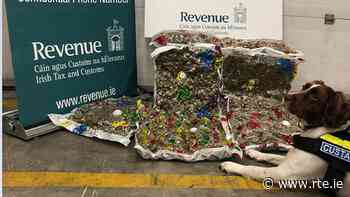 Herbal cannabis worth €140,000 seized in Dublin - RTE.ie