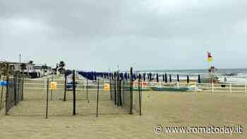 Nido tartaruga marina in spiaggia, firmata ordinanza: niente musica né giochi vicino le uova