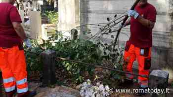 Ama all'opera per bonificare il cimitero del Verano. Dopo 8 anni