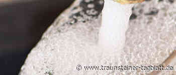 Landkreis Traunstein: Abkochverfügung aufgehoben - Traunsteiner Tagblatt