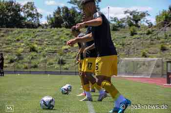Waldhof Mannheim: Personallage vor Spiel gegen Dortmund II weiter angespannt - Liga 3 News