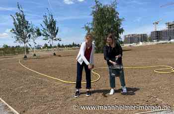 Musik und Insekten könnten auf Spinelli bald Kunst sein - Mannheim - Nachrichten und Informationen - Mannheimer Morgen