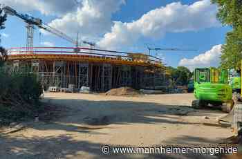 Mannheim: Das sagen Besucher zu den Baustellen im Luisenpark - Mannheim - Nachrichten und Informationen - Mannheimer Morgen