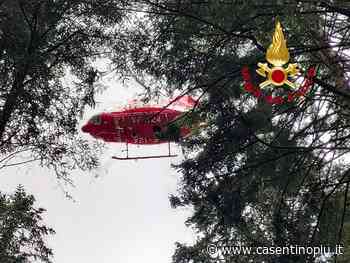 Salvataggio a Vallombrosa da parte di Vigili del Fuoco di Bibbiena (video) - Casentinopiù