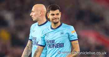 Bruno Guimaraes reminder as impact of Jonjo Shelvey injury is felt at Newcastle United - Chronicle Live