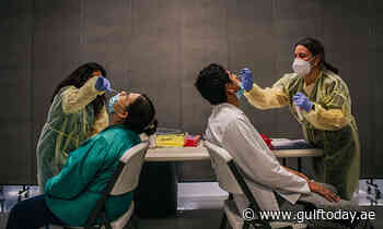 UAE reports 693 new coronavirus cases in 24 hours - Gulf Today
