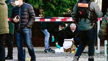 Schusswaffenangriff in Heidelberg: Mann verletzt mehrere Menschen - tagesschau.de