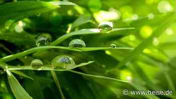 heise+ | Grüne Software: Nachhaltig und effizient programmieren