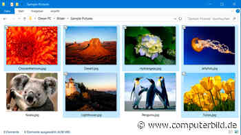 Windows: Elementkontrollkästchen einschalten - COMPUTER BILD - COMPUTER BILD