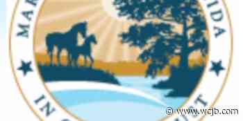 Belleview Public Library will host a master gardener plant clinic - WCJB