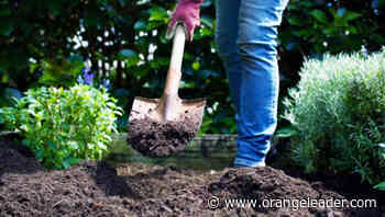 MASTER GARDENER — Take these soil basics to heart, from microbes to pH - Orange Leader - Orange Leader