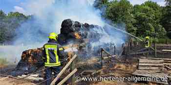 Feuerwehreinsatz auf dem Bauernhof - Strohballen geraten in Brand - Hertener Allgemeine