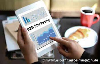 B2B-Marketing als Katalysator: Vom Startup zum Scaleup - eCommerce Magazin