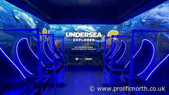 Virtual Reality specialist reports strong growth - Prolific North