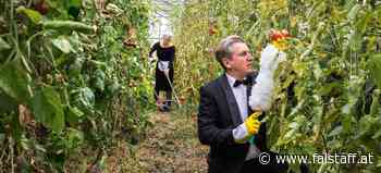 Honey &amp; Bunny: Mehr als nur Essen