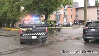 Calgary police outline recent gun investigations, charges | CTV News - CTV News Calgary