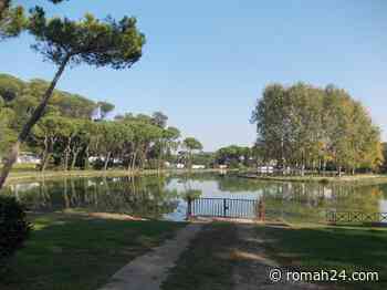 Villa Ada, procede il progetto Grab. Gli attivisti: "Perplessità sull'opera" - Trieste-Salario - romah24.com