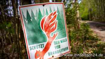 Unbekannter zündelt im Wald – Ehepaar kann größeres Feuer verhindern