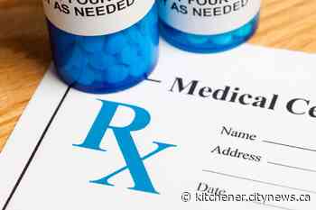 Alternatives, solutions needed for shortage of children's pain relief medication - Kitchener.CityNews.ca