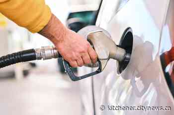 Gas prices expected to drop another 3 cents per litre - Kitchener.CityNews.ca