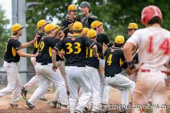 Waterloo team brings provincial baseball title home - Kitchener.CityNews.ca