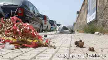 Messina, troppe strade sporche e abbandonate - Messina