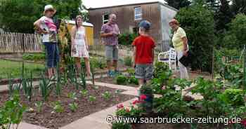 Vorstandswahlen und Gartenwettbewerb beim Kreisverband der Obst- und Gartenbauvereine Merzig-Wadern - Saarbrücker Zeitung