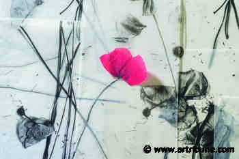 Sulle tracce di Marcel Proust. La mostra di Marco Jaccond ad Aosta - Artribune