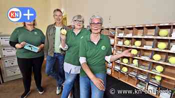 Das Bürgerfestival: 120 Ehrenamtler stehen hinter Green Screen