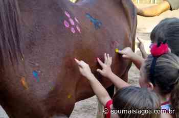 Dia Nacional da Equoterapia: centro pioneiro em Lagoa da Prata comenta sobre benefícios, desafios e assistência social - Sou Mais Lagoa