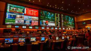 Sports betting in Saskatchewan: a growing pastime? - paNOW