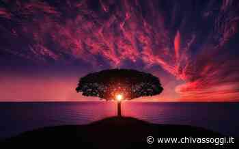 Escort: un fenomeno sempre più in espansione - ChivassOggi.it