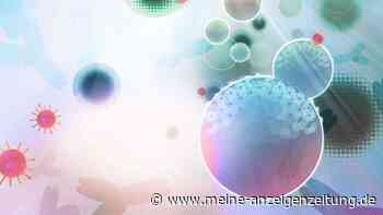 Coronavirus: Harvard-Forscher entdecken besonderen Antikörper – Durchbruch für Universal-Impfstoff?