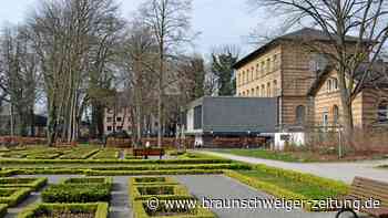 Ein Feuerwerk am Samstag im Vechelder Schlosspark - Braunschweiger Zeitung