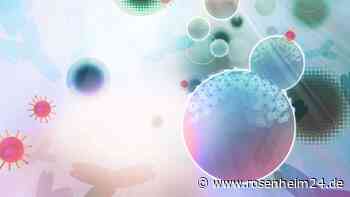 Coronavirus: Harvard-Forscher entdecken besonderen Antikörper – Durchbruch für Universal-Impfstoff?