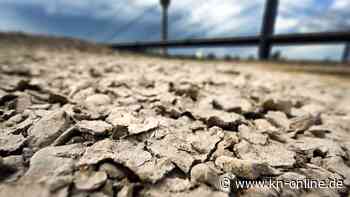 Auf Dürre folgt die Sturzflut: Warum das künftig für uns mehr zum Problem werden wird