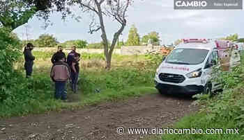 Encuentran a jovencita desmayada en camino de terracería de Atlixco - Diario Cambio