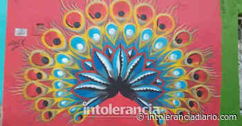 Murales Interactivos, un atractivo más de Atlixco - Intolerancia Diario