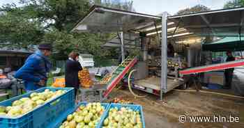 Laat je appels of peren persen tot vers fruitsap - Het Laatste Nieuws