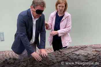 Erkennen Sie Mittweida auch blind, Herr Oberbürgermeister? - freiepresse.de