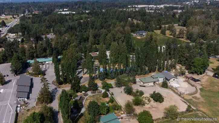 Wolf missing from Vancouver zoo found safe, returned to pack