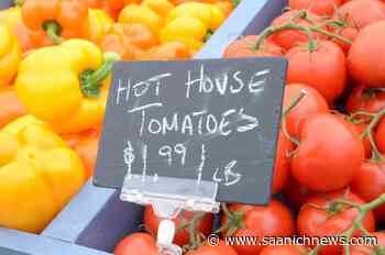 Spring’s cold shoulder has left Vancouver Island farmers behind - Saanich News