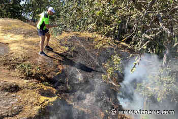 Saanich residents put the damper on park fire – twice - Victoria News