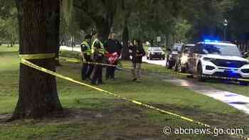 Lightning strike kills mom, injures child and dog