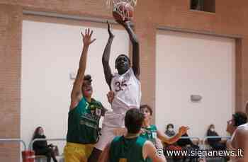 Basket, nasce la Elsa Metallurgica Poggibonsi basket: giocherà in prima divisione - Siena News