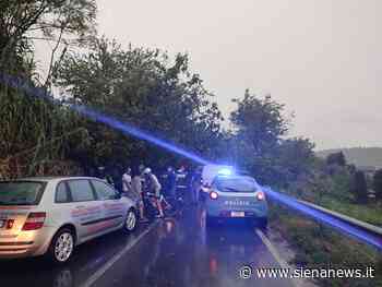 Poggibonsi, albero cade e colpisce un furgone: interviene la polizia - Siena News