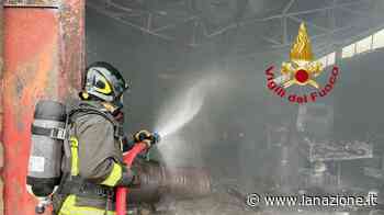 Incendio a Buonconvento (Siena): capannone agricolo in fiamme / FOTO - LA NAZIONE