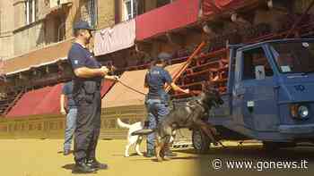 Palio dell'Assunta, la macchina organizzativa si prepara a Siena - gonews
